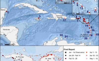 Diadema Updates – Recent Publication January 2023