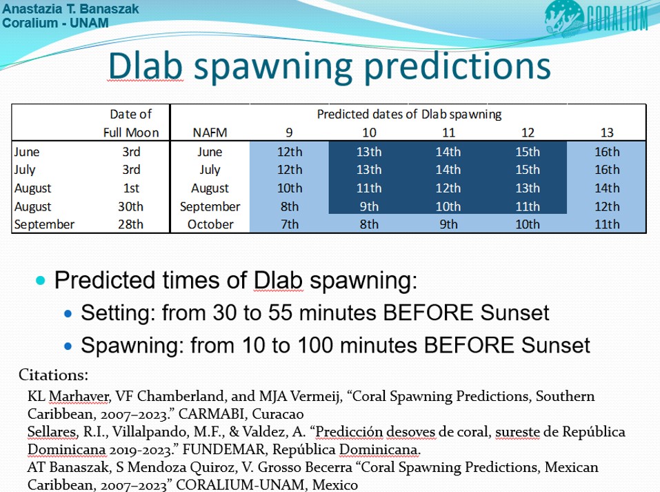 DLAB Spawn Calendar